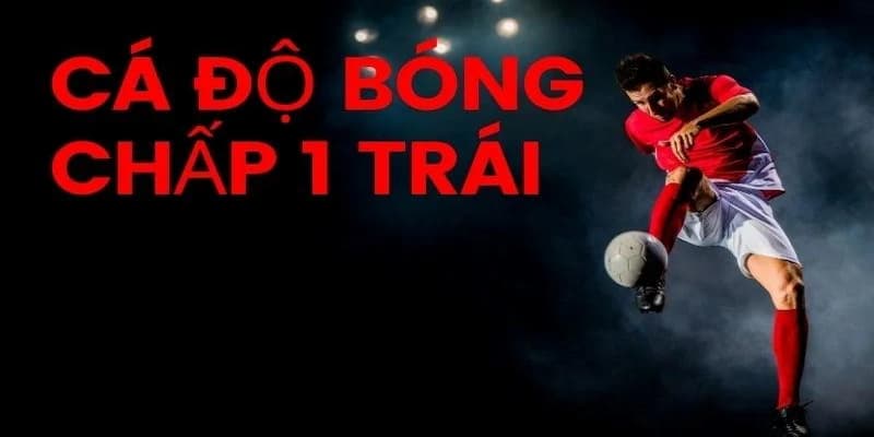 Cách đọc và hiểu tỷ lệ kèo chấp 1 trái