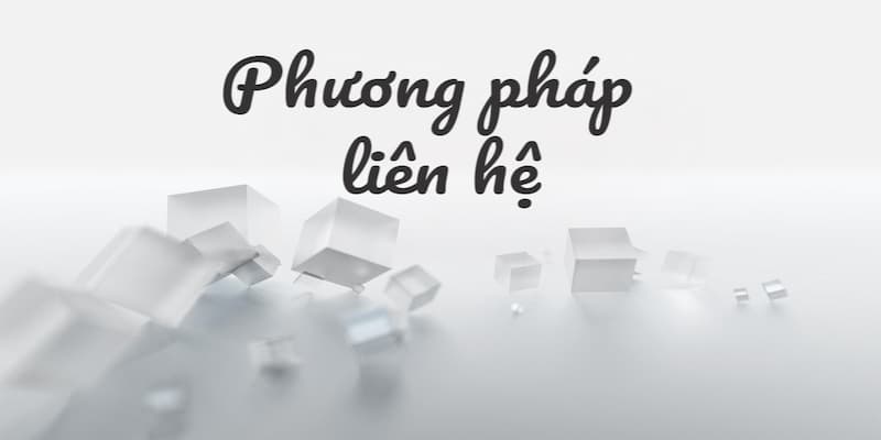 Vai trò của việc liên hệ trong cá cược trực tuyến