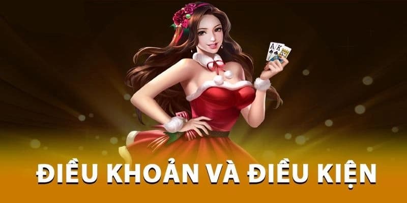 Vì sao điều kiện điều khoản lại quan trọng?